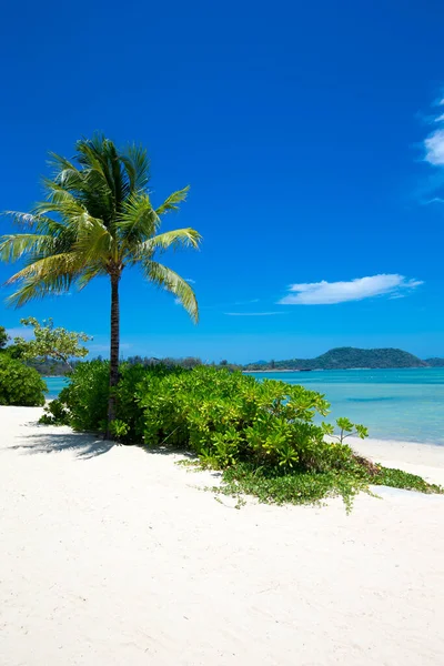 Sand Des Karibischen Strandes Tropisches Meer — Stockfoto