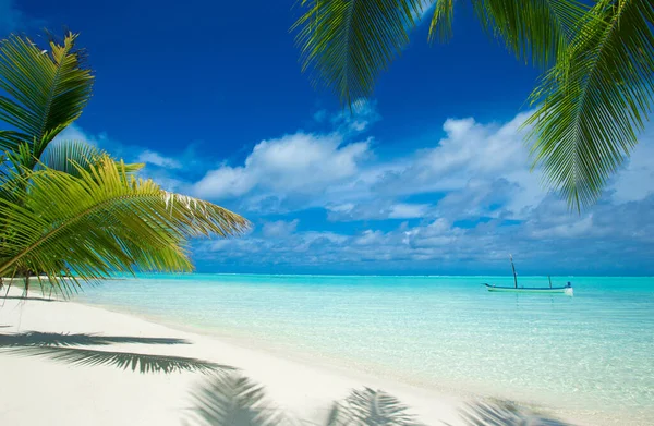 Tropische Malediven Eiland Met Wit Zandstrand Zee — Stockfoto