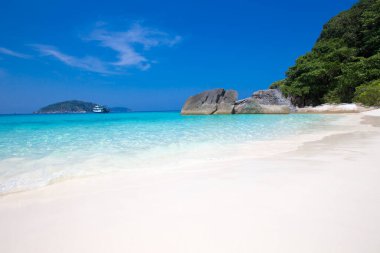 sand of beach caribbean sea. tropical sea