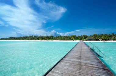 Güzel sahil ve tropikal deniz