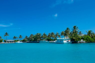  Plaj ve tropikal deniz. plaj manzarası 