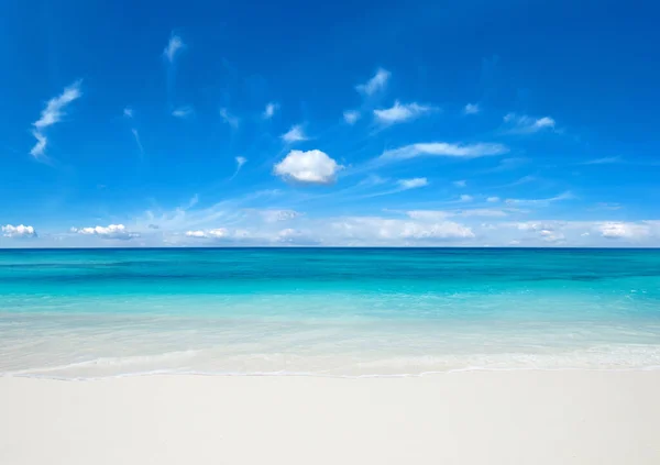 Tropische Insel Der Malediven Mit Weißem Sandstrand Und Meer — Stockfoto