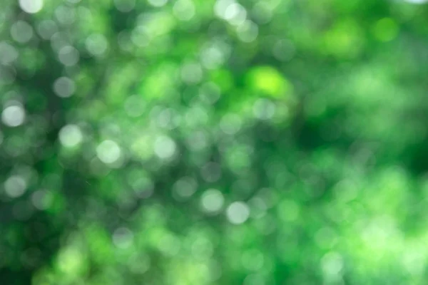 背景のボケ味の緑と日光 — ストック写真