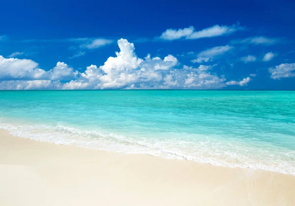 白い砂浜と海を持つ熱帯モルディブの島 — ストック写真