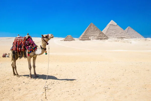 Pyramiderna Med Vacker Himmel Giza Kairo Egypten — Stockfoto