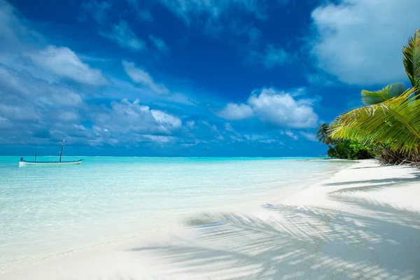 Beach Tropical Sea Beach Landscape — Stock Photo, Image