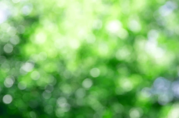 Naturgrün Mit Verschwommenem Hintergrund — Stockfoto