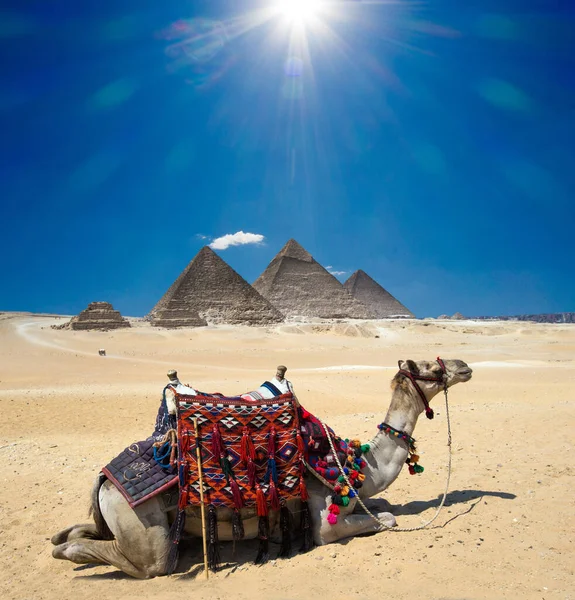 Pirámides Con Hermoso Cielo Guiza Cairo Egipto — Foto de Stock