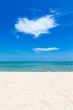 sand of beach caribbean sea. tropical sea