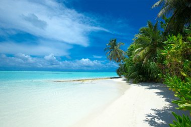 Beyaz kumlu sahili ve denizi olan tropik Maldivler adası. Avuç 