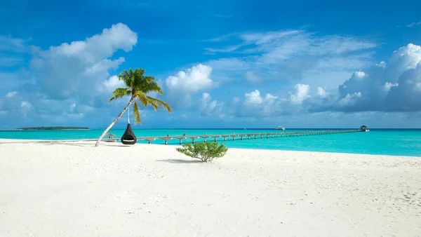 Isla Tropical Maldivas Con Playa Arena Blanca Mar Palma —  Fotos de Stock