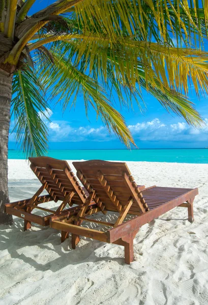 Isla Tropical Maldivas Con Playa Arena Blanca Mar Palma —  Fotos de Stock