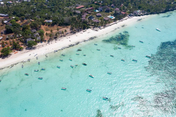 Pięknej Tropikalnej Wyspie Zanzibar Ptaka Morze Zanzibar Beach Tanzania — Zdjęcie stockowe