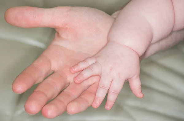 Mão Bebê Segurando Mão Mãe — Fotografia de Stock