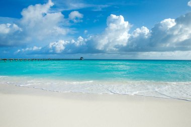 Güzel sahil ve tropikal deniz