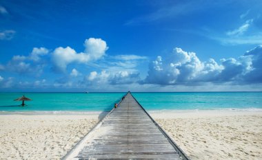 Güzel sahil ve tropikal deniz