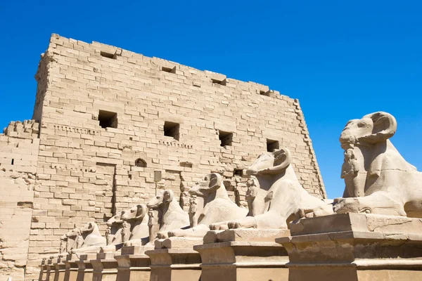 Αφρική Την Αίγυπτο Λούξορ Καρνάκ Ναός — Φωτογραφία Αρχείου