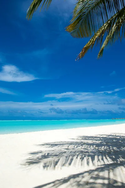 Krásná Pláž Tropické Moře — Stock fotografie