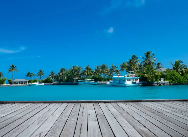 Tropical Maldives Island White Sandy Beach Sea Palm — Stock Photo, Image