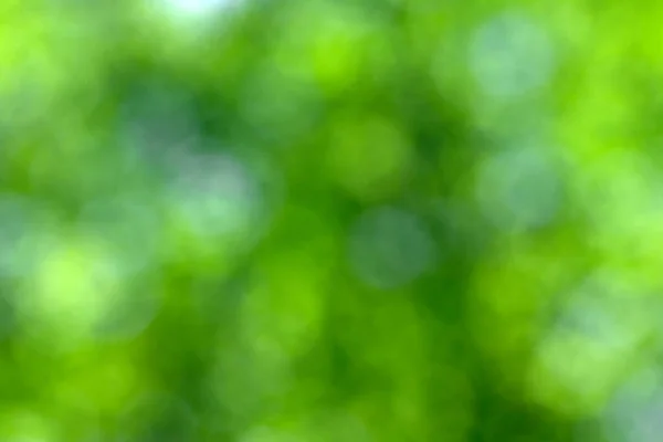 Grüner Bokeh Hintergrund Und Sonnenlicht — Stockfoto