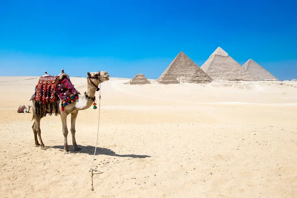 Пирамиды Красивым Небом Гизы Каире Египет — стоковое фото