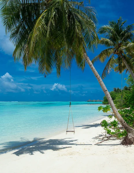 Tropický Ostrov Maledivy Bílou Písečnou Pláží Mořem Palma — Stock fotografie