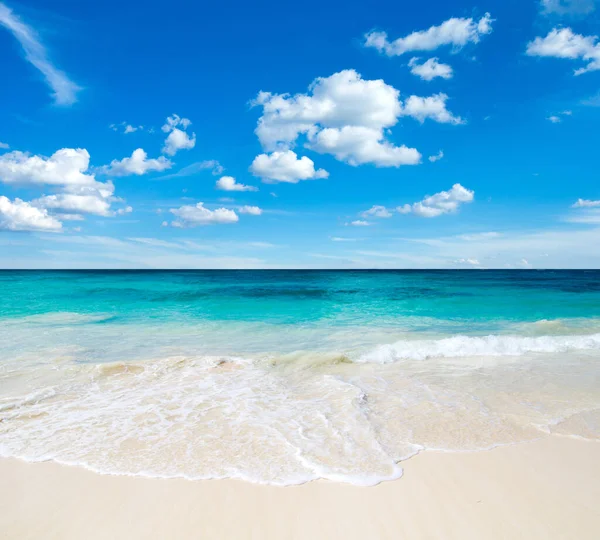 Strand Tropische Zee Natuur Achtergrond — Stockfoto