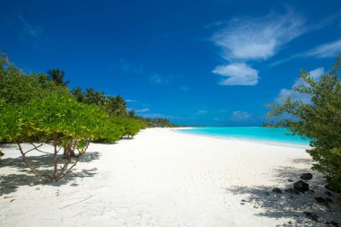 Beyaz kumlu sahili ve denizi olan tropik Maldivler adası. Avuç 