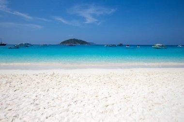 sand of beach caribbean sea. tropical sea