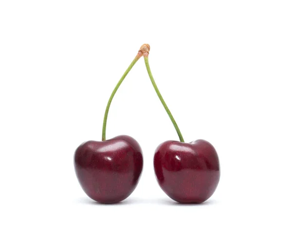 Cherry Isolated Cherries White Background Sour Cherry White — Stock Photo, Image