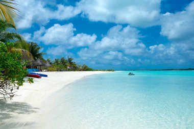 Beyaz kumlu sahili ve denizi olan tropik Maldivler adası. Avuç 