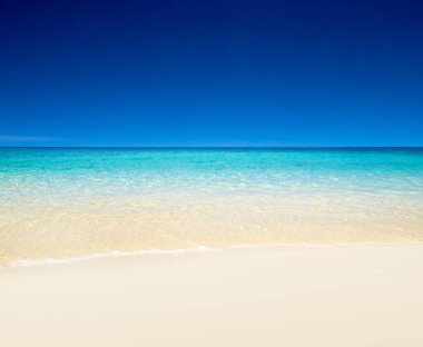 Plaj ve tropikal deniz. doğa arkaplanı