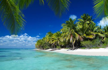 Plaj ve tropikal deniz. doğa arkaplanı