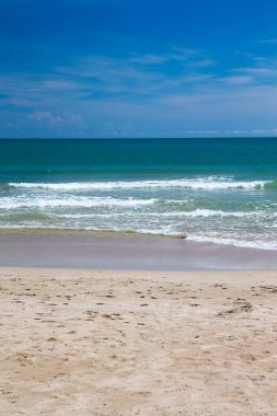Güzel sahil ve tropikal deniz