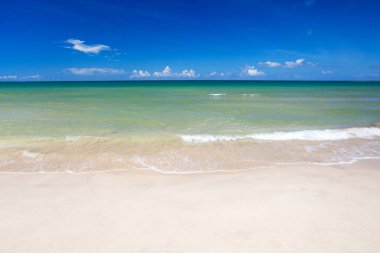 Güzel sahil ve tropikal deniz