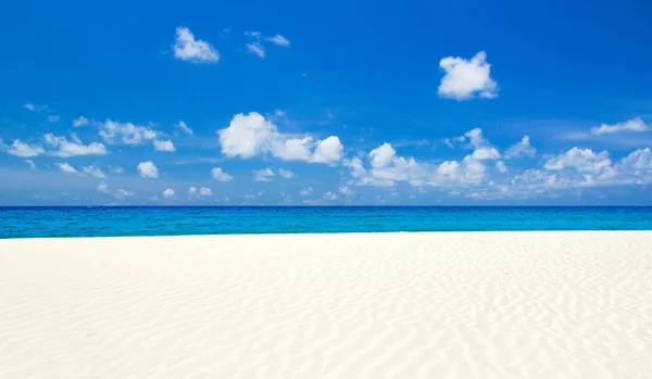 Tropical Beach Maldives — Stock Photo, Image