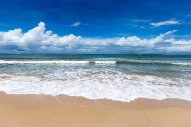 Güzel sahil ve tropikal deniz