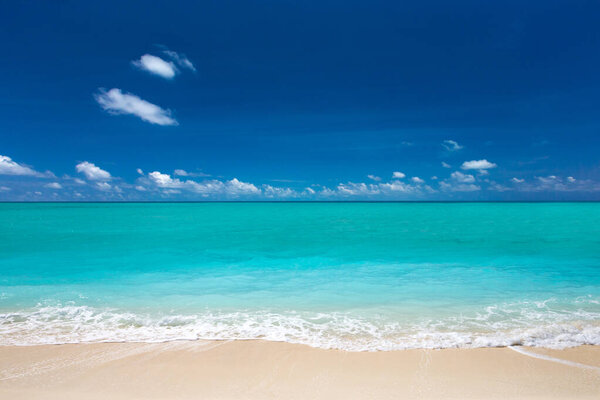 пляж и тропическое море. природа фон