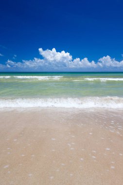 Güzel sahil ve tropikal deniz
