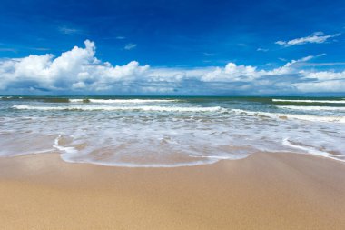 Güzel sahil ve tropikal deniz