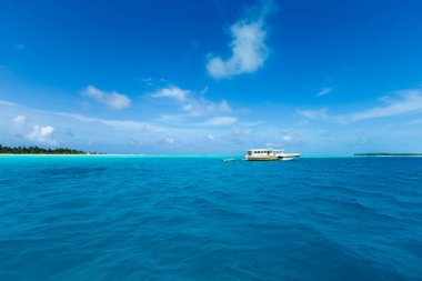 Plaj ve tropikal deniz. doğa arkaplanı