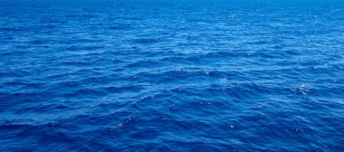 Sri Lanka 'da tropikal deniz . 