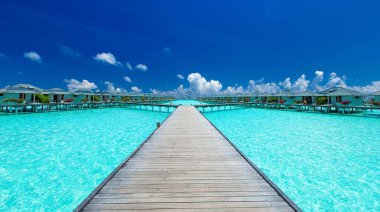 Plajlı tropik Maldivler adası. Tatil ve tatil kavramı.