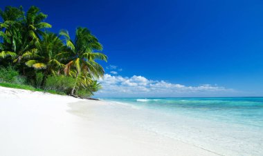 tropikal deniz mavi gökyüzü altında