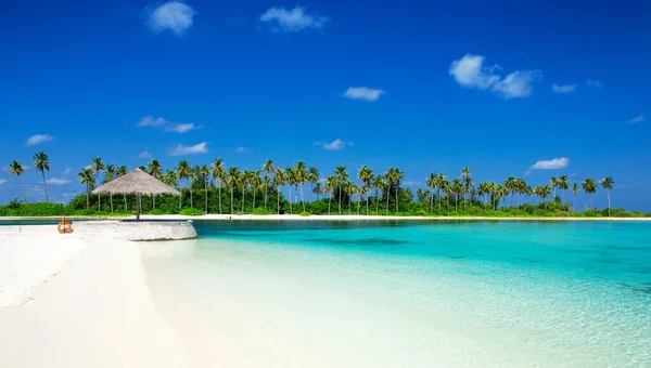Maldivler Birkaç Palmiye Ağacı Mavi Lagünü Olan Tropik Plaj — Stok fotoğraf