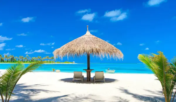 Praia Tropical Branca Maldivas Com Poucas Palmeiras Lagoa Azul Imagem De Stock