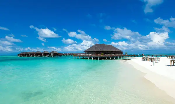 Strand Tropisk Hav Tropisk Paradis Landskap Maldivene stockbilde