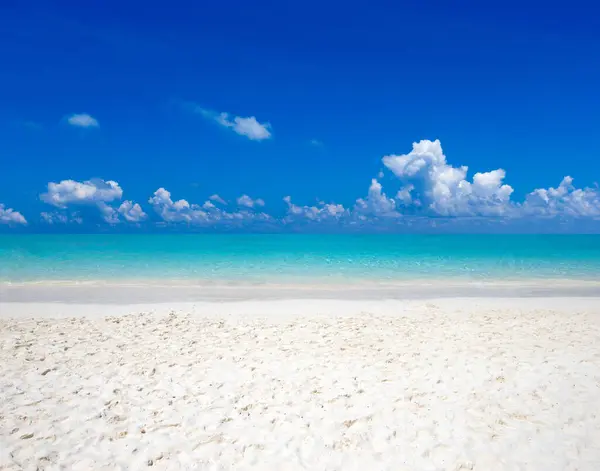 Plaj Tropikal Deniz Mavi Deniz Mavi Gökyüzü Stok Fotoğraf