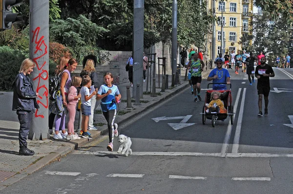 Sofia Bulgaria 2022年10月9日 在Wizz Air的赞助下 一名带着幼儿婴儿车的运动员和一名带着小狗跑10公里的小女孩参加了比赛 — 图库照片