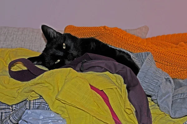 Gato Negro Con Los Ojos Abiertos Relajante Pila Ropa — Foto de Stock